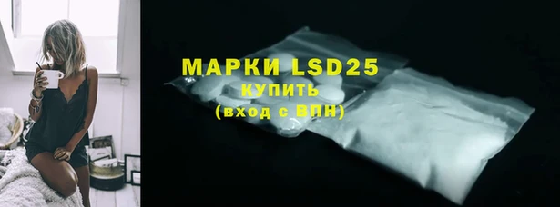 прущие грибы Алзамай