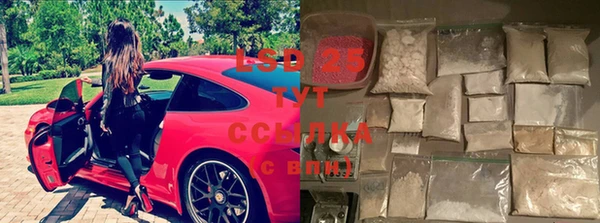 ГАЛЛЮЦИНОГЕННЫЕ ГРИБЫ Алексин