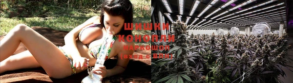 альфа пвп Новодвинск
