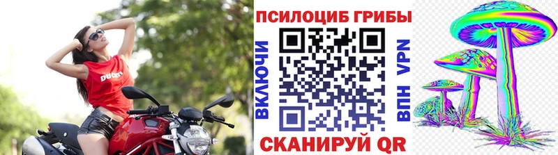 Галлюциногенные грибы Magic Shrooms  Могоча 