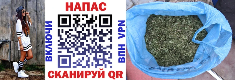Марихуана семена KRAKEN вход Могоча